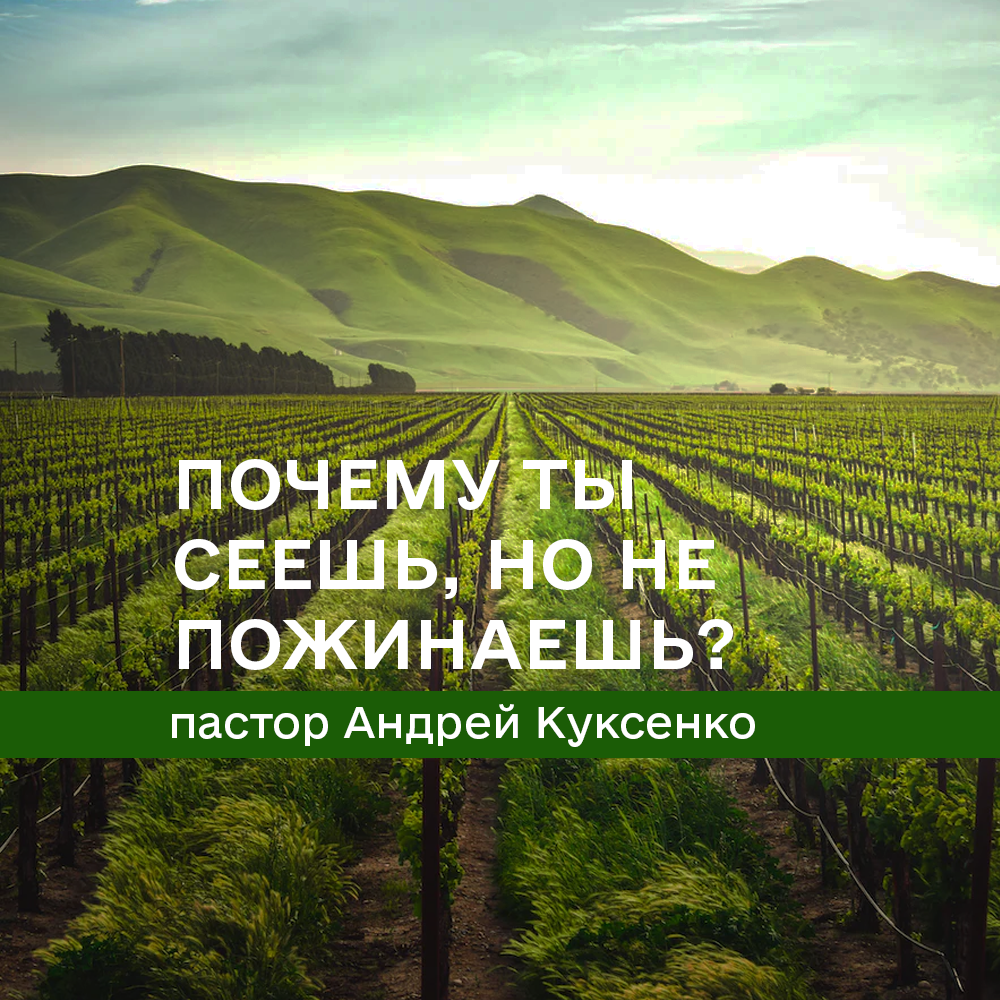 Почему ты сеешь, но не пожинаешь?